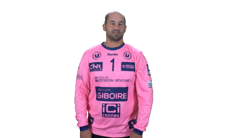 Cessonhandball Sticker by CRMHB