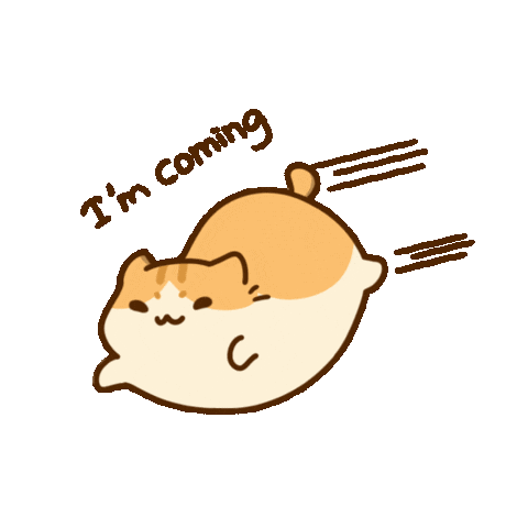Cat Catmemes Sticker by Bichi Mao