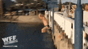 bridge fails GIF by World’s Funniest