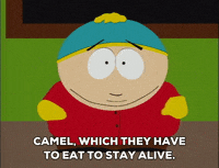 GIF by South Park 