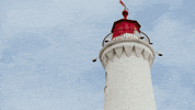 chris mcnally love GIF by Hallmark Channel