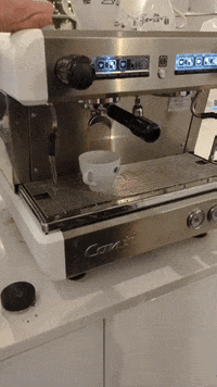 GIF by Stella 52