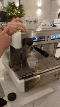 GIF by Stella 52
