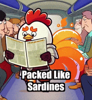 Travel Adventure GIF by Zorooster