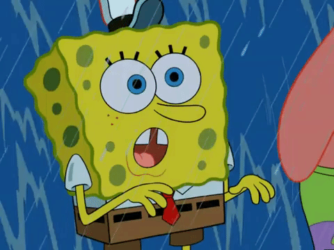season 6 GIF by SpongeBob SquarePants