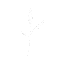 Plant Sticker