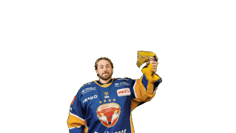 Celebrate Sticker by Lausitzer Füchse