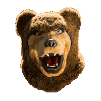 Bear Sticker by Ursinus College
