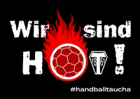 HandballTaucha handball vereinsleben einteam taucha GIF