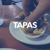 GIF by VakantieVeilingen