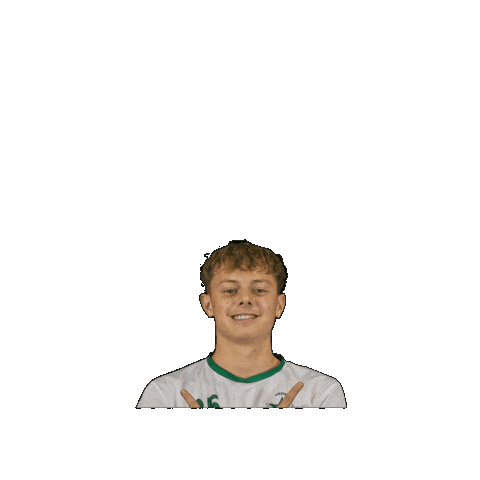 Sport Heerlen Sticker by Groene ster