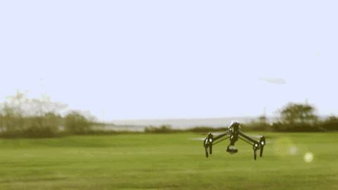 GIF by Canek