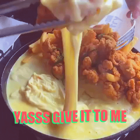 KFrymy giphygifmaker yes cheese yasss GIF