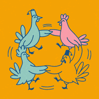 Eat Orange County GIF by Dizzy Bird