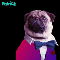 screen media films patrick GIF