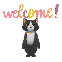 Black Cat Sticker by TeamKrikey