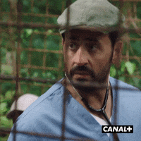 Fun Lol GIF by CANAL+