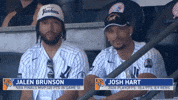 New York Yankees Sport GIF by MLB