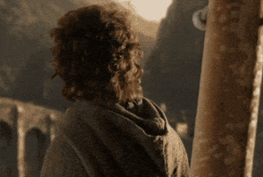 Movie gif. Elijah Wood as Frodo in Lord of the Rings. Frodo is staring out of a balcony and slowly turns around as he hears someone approach. A gentle smile fills his face.