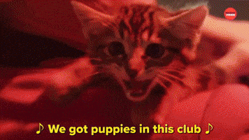 We Got Puppies