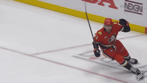 Happy Anaheim Ducks GIF by NHL