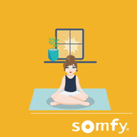 Relax Meditating GIF by Somfy