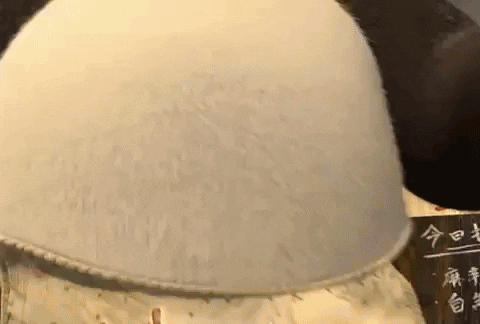 hjdfghbbn giphygifmaker GIF