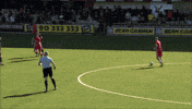 Goal Control GIF by Cliftonville Football Club