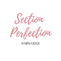 Perfection Section Sticker by Hair Made Easi