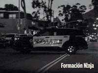 Zeta Police Car GIF by Formación Ninja