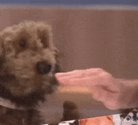Mordida GIF by LIBERUM