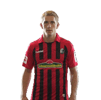 Sc Freiburg Celebration Sticker by SCF