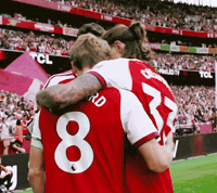 Arsenal GIF by memes
