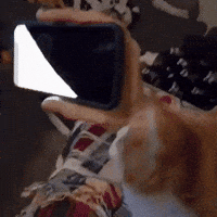 Drunk Cat GIF by Respective