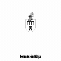 Bandera GIF by Formación Ninja