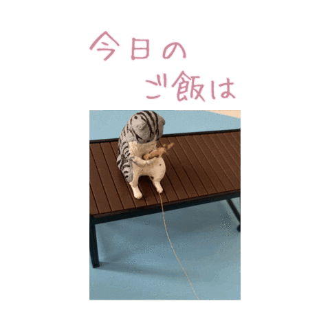 Cat Fun Sticker