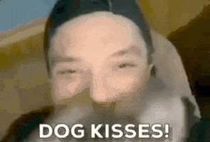 Funny Dog Kyle Mcmahon GIF by Pop Culture Weekly with Kyle McMahon