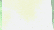 phillnricksburgers burger burgers phill ricks GIF