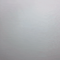 robin williams art GIF by Evan Hilton