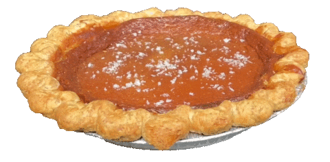 3D Thanksgiving Sticker by foodbabyny