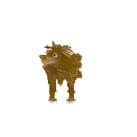 Wolf Collections Sticker