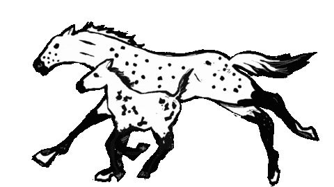 Logo Coffee Sticker by Meister HQ