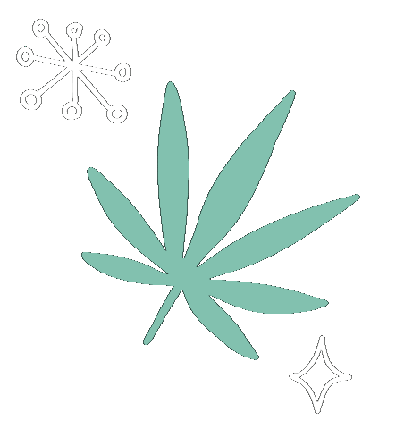 Chicksvsstigma Sticker