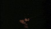Film Shadow GIF