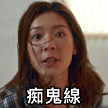 Tiger Mirror GIF by ViuTV