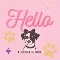 Hello Dog GIF