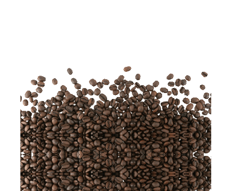 Skin Care Coffee Sticker by Apraise