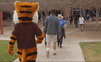 trinityuniversity trinity trinity university leeroy trinity tigers GIF