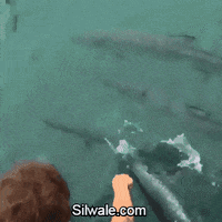 he almost lost his arm. GIF by Silwale