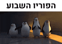 Happy Penguin GIF